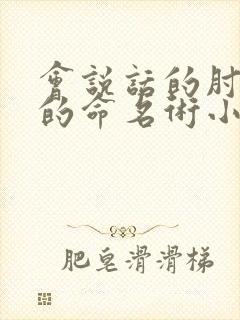 会说话的肘子夜的命名术小说