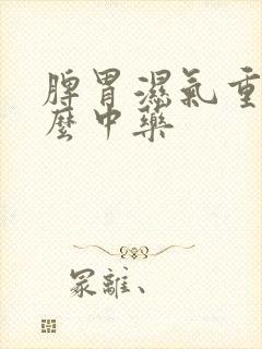 脾胃湿气重吃什么中药