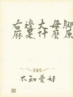 右边大母脚趾头麻是什么原因