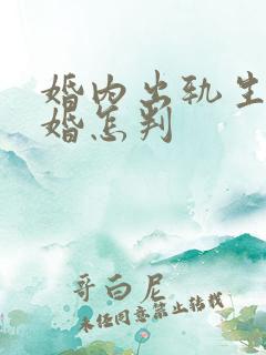 婚内出轨生子离婚怎判