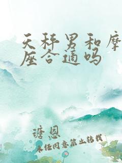 天秤男和摩羯女座合适吗