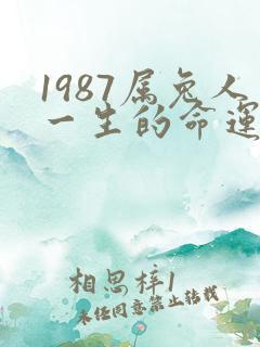 1987属兔人一生的命运好不好