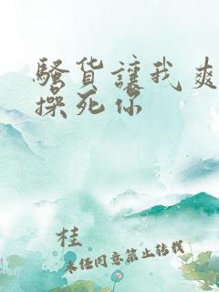 骚货让我爽一下操死你