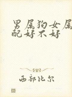 男属狗女属羊婚配好不好