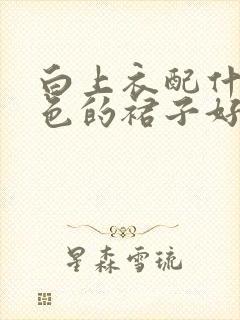 白上衣配什么颜色的裙子好看