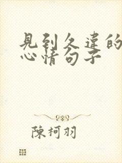 见到久违的朋友心情句子