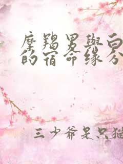 摩羯男与白羊女的宿命缘分