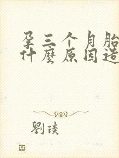 孕三个月胎停是什么原因造成的