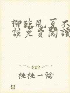 柳临风夏不晚小说免费阅读最新章节