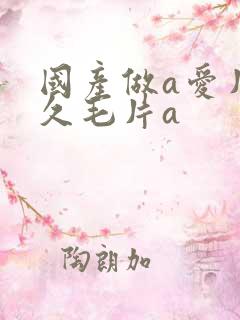 国产做a爱片久久毛片a