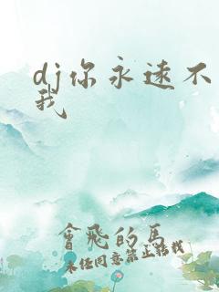 dj你永远不懂我