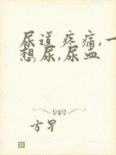 尿道疼痛,一直想尿,尿血