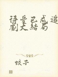 待爱已成追忆短剧大结局