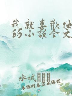 我就喜欢他那样的小说全文免费阅读