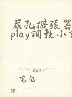 尿孔扩张器导尿play调教小说