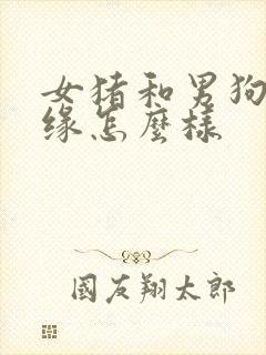 女猪和男狗的姻缘怎么样