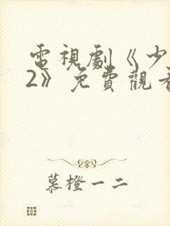 电视剧《少年派2》免费观看