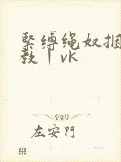 紧缚绳奴捆绑调教丨vk