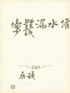 墙体漏水修补多少钱