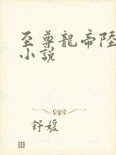 至尊龙帝陆鸣 小说