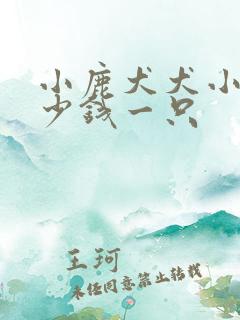 小鹿犬犬小狗多少钱一只