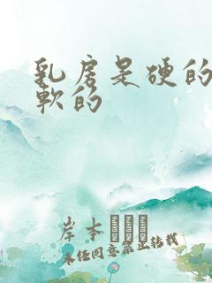 乳房是硬的还是软的