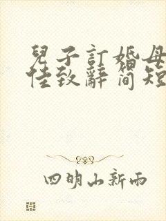 儿子订婚母亲最佳致辞简短