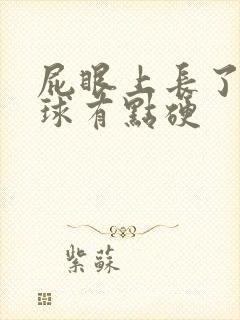 屁眼上长了个肉球有点硬