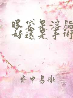 眼袋是溶脂比较好还是手术比较好