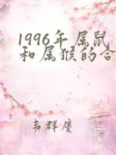 1996年属鼠和属猴的合适吗