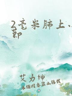 2毫米肺上小结节