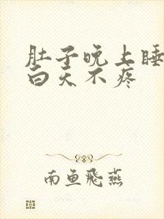 肚子晚上睡觉疼白天不疼