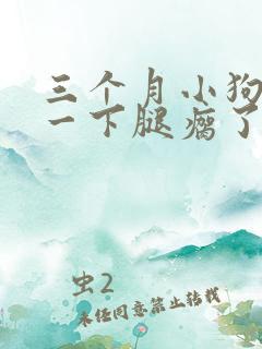 三个月小狗摔了一下腿瘸了咋办