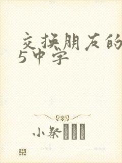 交换朋友的老婆5中字