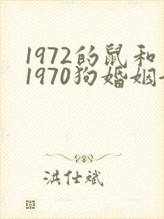 1972的鼠和1970狗婚姻好不好