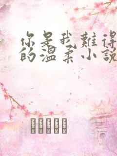 你是我难得一见的温柔小说免费阅读