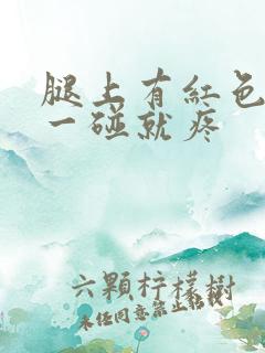 腿上有红色斑块一碰就疼