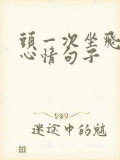 头一次坐飞机的心情句子