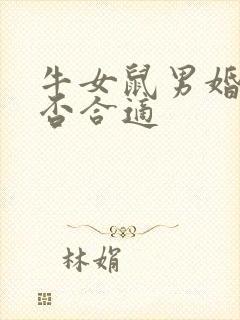 牛女鼠男婚配是否合适