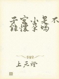 子宫小是不是不能怀孕吗