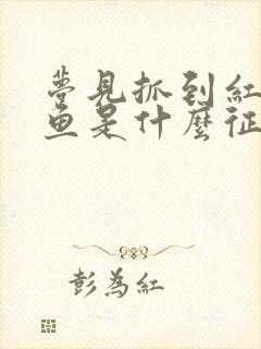 梦见抓到红色的鱼是什么征兆