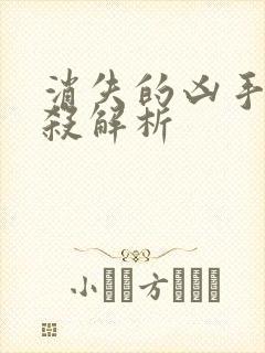 消失的凶手剧本杀解析