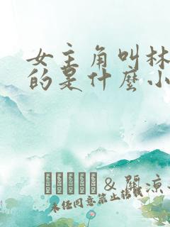 女主角叫林知夏的是什么小说