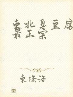 东北臭豆腐哪里最正宗