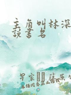主角叫林深的小说书名