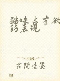 猫咪占有欲很强的表现