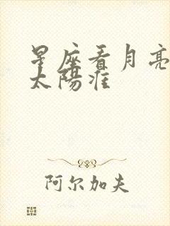 星座看月亮还是太阳准