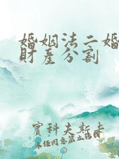 婚姻法二婚离婚财产分割