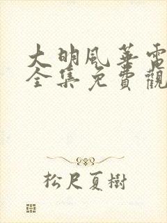 大明风华电视剧全集免费观看64集