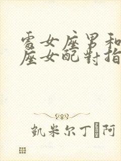 处女座男和摩羯座女配对指数